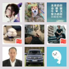 东莞摸鱼群